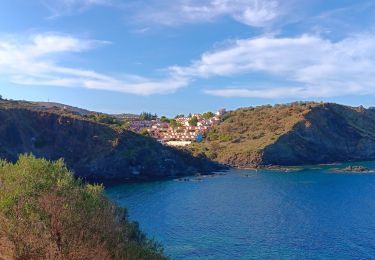 Tocht Stappen Cerbère - village des aloès - cap cerbère/ aller-retour - Photo