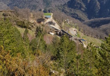 Percorso Marcia Florac Trois Rivières - la ferme des Cévennes  - Photo