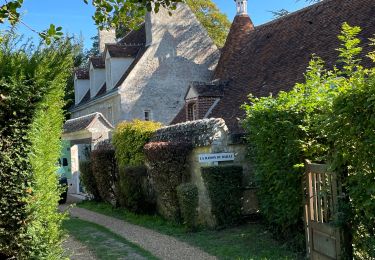 Trail Hybrid bike Saint-Germain-des-Grois - Autour de l’huisne  - Photo