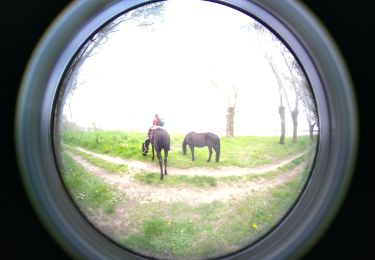 Tocht Paardrijden Savigny-en-Véron - 3749 - Photo