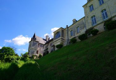 Excursión Senderismo Saint-Germain-sur-Vienne - Saint-Germain-sur-Vienne - Zig zag GR3 Fontevraud-l'Abbaye - 20km 350m 4h50 (45mn) - 2024 05 08 - Photo