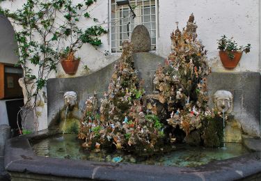 Percorso A piedi Scala - Sentiero dei Castagneti di Tavernate - Photo