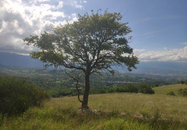 Tour Wandern Roccamorice - 324 mai 2024 Roccamorice  - Photo