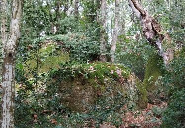 Trail Walking Trégunc - tête elephant - Photo