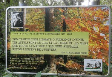Trail On foot Rochefort - WCA - Get Together - Photo