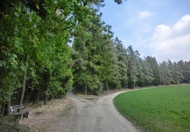 Percorso A piedi Falkenberg - Falkenberg Rundwanderweg 5 - Photo