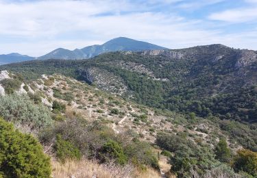 Tour Wandern Malaucène - Crête Arfuyen Pas du Loup - Photo