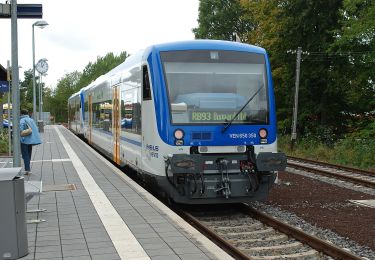 Randonnée A pied Emmelshausen - Hunsrückbahn-Wanderweg - Photo