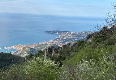 Trail Walking Castellar - Grammondo depuis Castellar - Photo