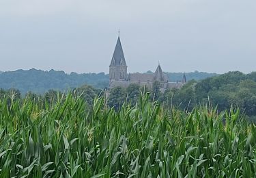 Tocht Stappen Anhée - maredsoux - Photo