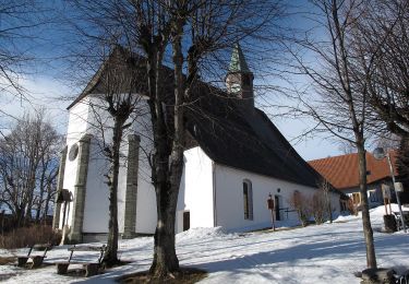 Tocht Te voet Mönichkirchen - tut gut Route 3 Mönichkirchen - Photo