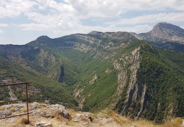 Excursión Senderismo La Javie - Le vieil Esclangon et panorama du vélodrome - Photo