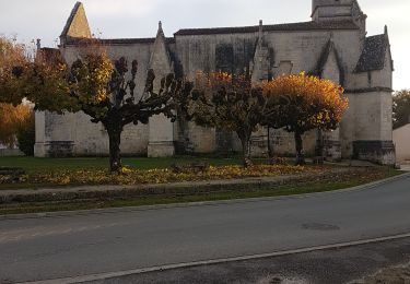 Trail Walking Varzay - marche des chênes centenaires  - Photo