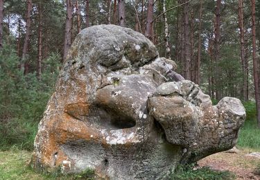 Randonnée Marche nordique Fontainebleau - Âpremont les gorges  - Photo