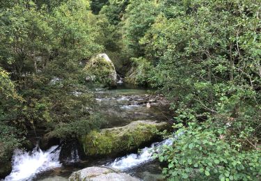 Tocht Stappen Py - Py boucle du Pas de Rotja  - Photo