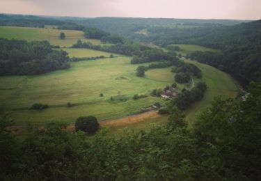 Tour Wandern Esneux - La roche aux faucons (Tilf)  - Photo