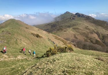 Tocht Stappen Itxassou - Col des veaux 2024 03 19 - Photo