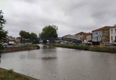 Tocht Mountainbike Saint-Nazaire-d'Aude - circuit n° 6 VTT FFC Le Somail - Photo
