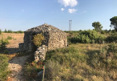 Percorso Marcia Conques-sur-Orbiel - Mur_aribaud_capitelles_réel - Photo