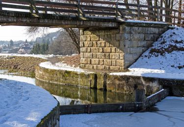 Percorso A piedi Burgthann - Burgthann - Photo