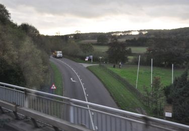 Percorso A piedi Stafford - Hanchurch Walk (Green) - Photo