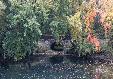 Excursión Senderismo Nogent-sur-Seine - Boucle Nogent Liours  - Photo