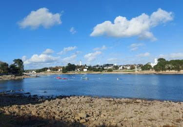 Trail Walking Combrit - 20221114 SteMarine - Photo