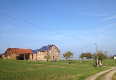 Randonnée A pied Borgentreich - Lamerden Rundweg La1 - Photo