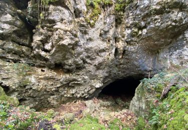 Trail sport Saint-Projet - St projet beauregard - Photo