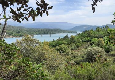 Trail Walking Montauroux - montouroux - Photo