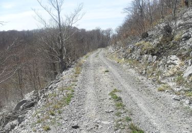 Tour Zu Fuß  - Od magistrale do Premužićeve staze (Splovine) preko Radlovca - Photo