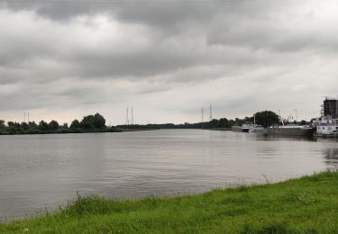 Tour Wandern Puurs-Sint-Amands - Randonnée à Sauvegarde  - Photo