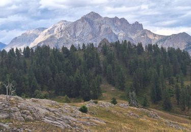 Percorso Mountainbike Les Vigneaux - Vigneaux  - Les TÃªtes 2025 - Photo