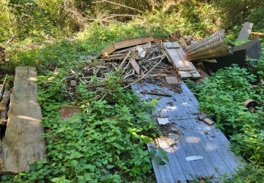 Trail Walking Les Martys - partage forges - Photo