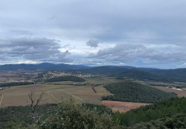 Tocht Stappen La Crau - La Navarre - Photo