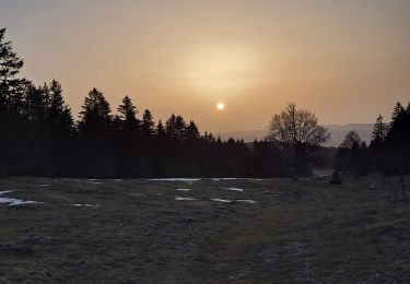 Tour Wandern Longevilles-Mont-d'Or - Grangette - Photo