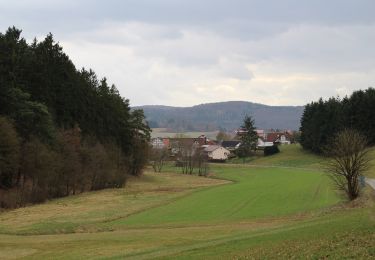 Tour Zu Fuß Gladenbach - [G12] - Rundweg Gladenbach - Ruine Blankenstein - Kehlnbach - Römershausen - Rachelshausen - Runzhausen - Schutzhütte Kehlnbach - Gladenbach - Photo