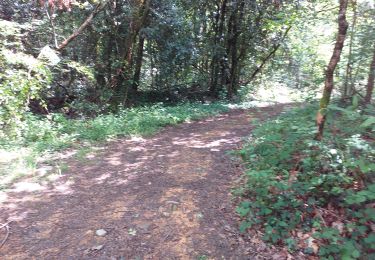 Trail Nordic walking Livron - Livron capsus Barzun plateau capbat - Photo