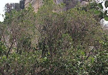 Randonnée Marche Ceyreste - le vallon du diable par le cereste  - Photo