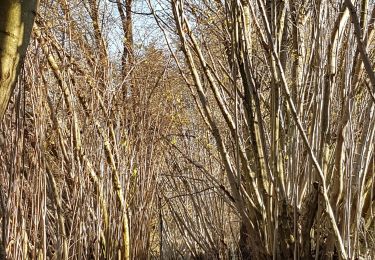 Tocht Stappen Aubel - Abbaye de Val Dieu - Photo