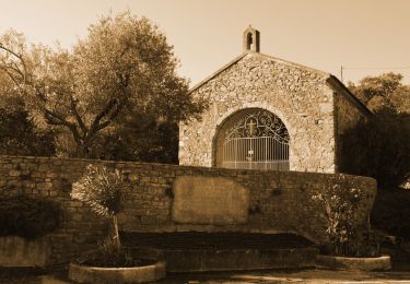 Tocht Stappen Roquebrune-sur-Argens - L'Escaillon par les Pétignons - Photo