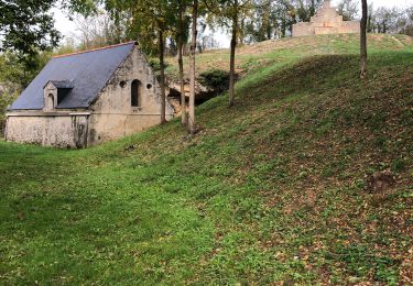 Tour Wandern Bellevigne-en-Layon - Machelles  - Photo