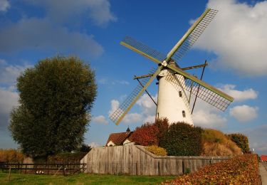 Tocht Te voet Deinze - Oude Kalevallei - Lus 2 - Photo