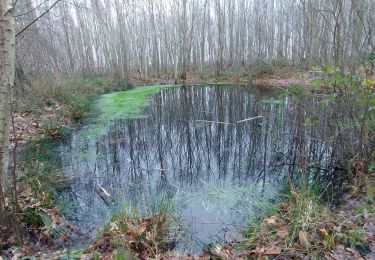 Randonnée Marche Elbeuf - rando Elbeuf-sur-Seine 