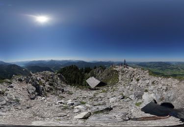 Tour Zu Fuß Thalgau - Forsthaus Wartenfels Wanderweg - Photo