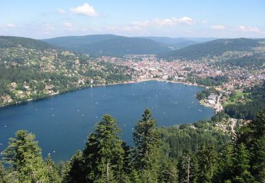 Tour Zu Fuß Gerdsee - Sentier du Tour du Lac - Photo