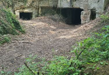 Tour Wandern Élincourt-Sainte-Marguerite - Élincourt-Sainte-Marguerite  - Photo