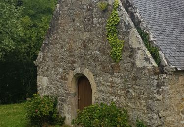 Tocht Stappen Camaret-sur-Mer - Tour de Saint Julien - Photo