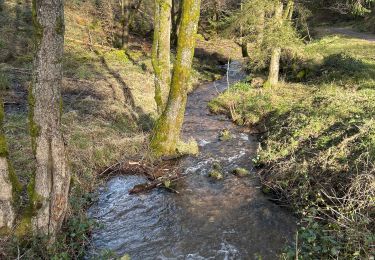 Randonnée sport Lutzelhouse - Wisches sentier des géants  - Photo