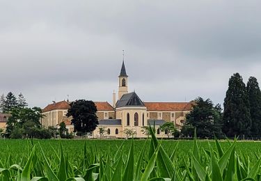 Randonnée Marche Magny-les-Hameaux - Boucle 23 km à partir de Port Royal des Champs - Photo